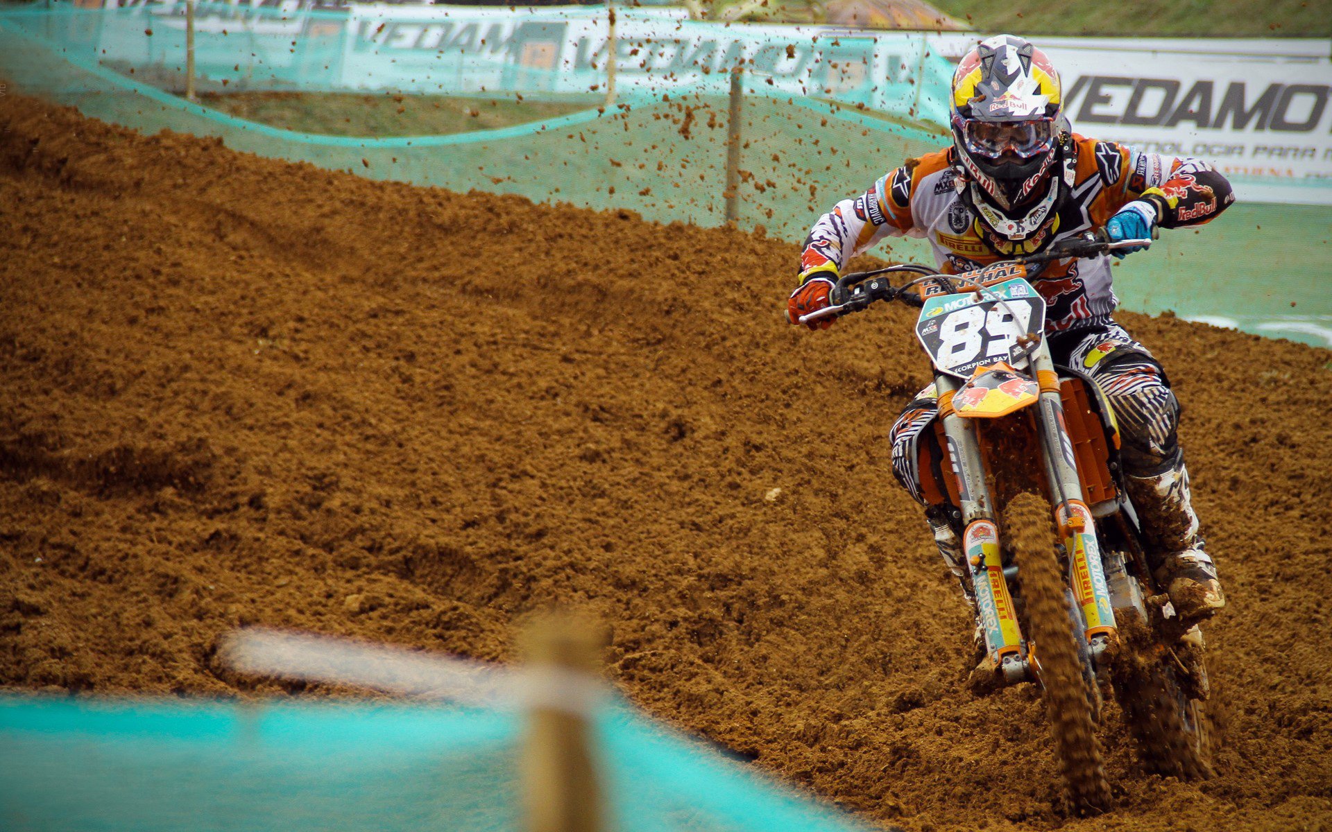 爱游戏官方入口-球迷热议：联盟最具潜力的“新星兵团”，新星战队官网