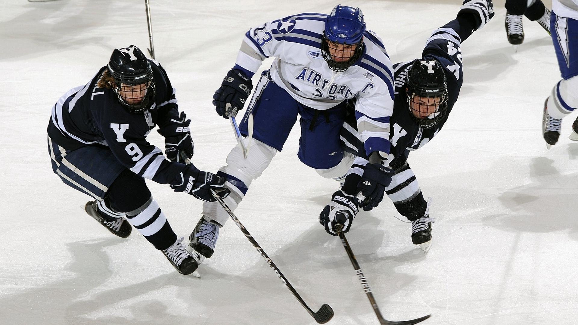 逆袭“黑马传奇”：从无名到冠军神话，重庆黑马传奇建筑工程项目管理有限公司